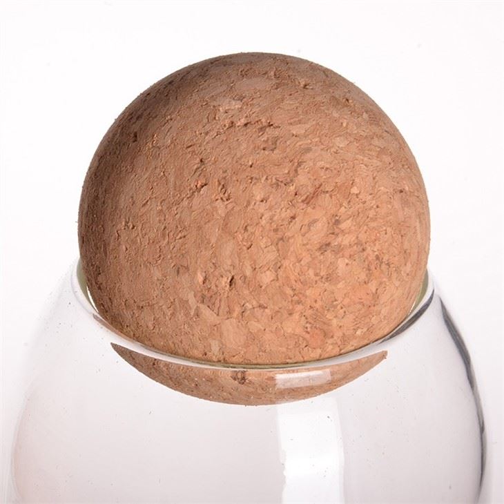 Glass Jar With Bamboo Cork