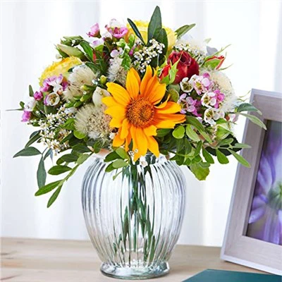 Large Glass Vase for Pampas Grass Large Glass Vase for Pampas Grass